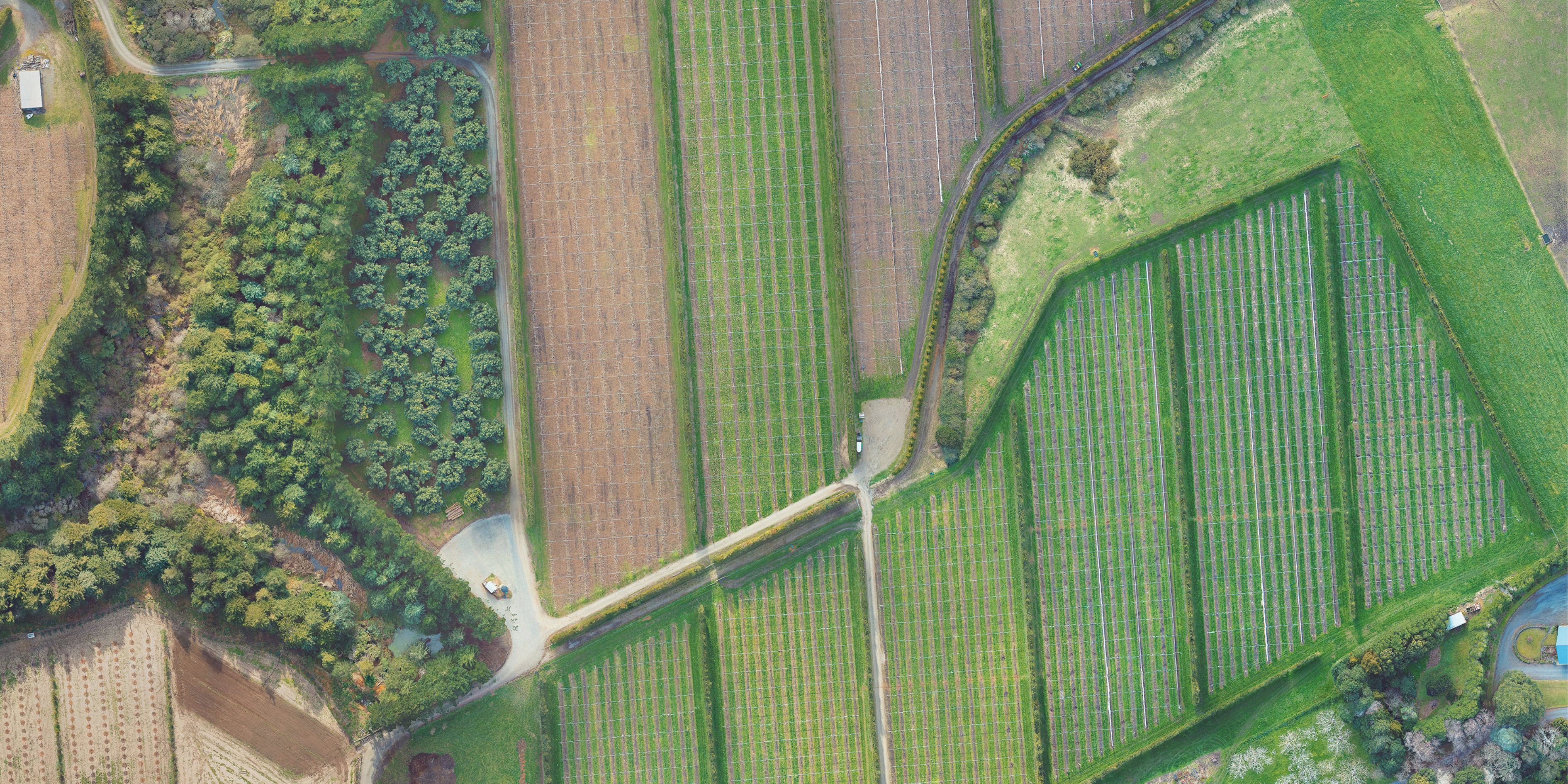 horticulture flyover