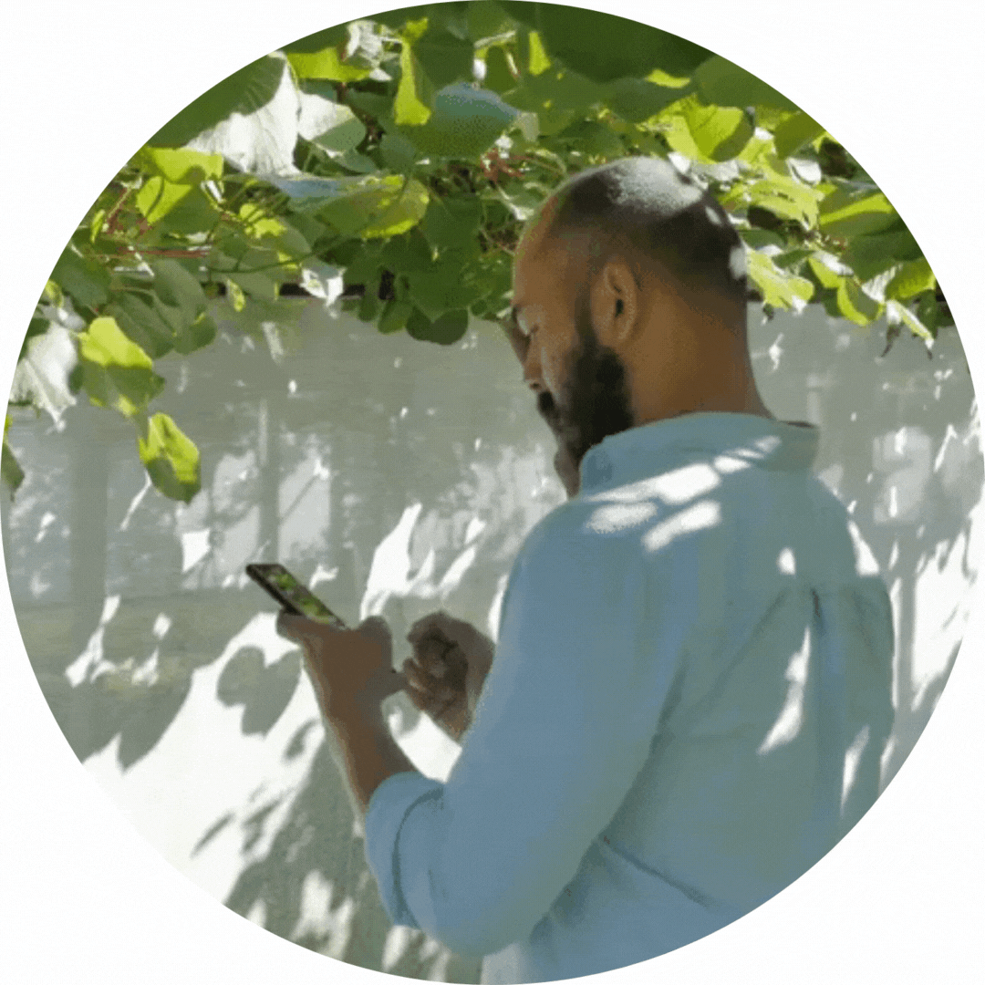 Crop Counting