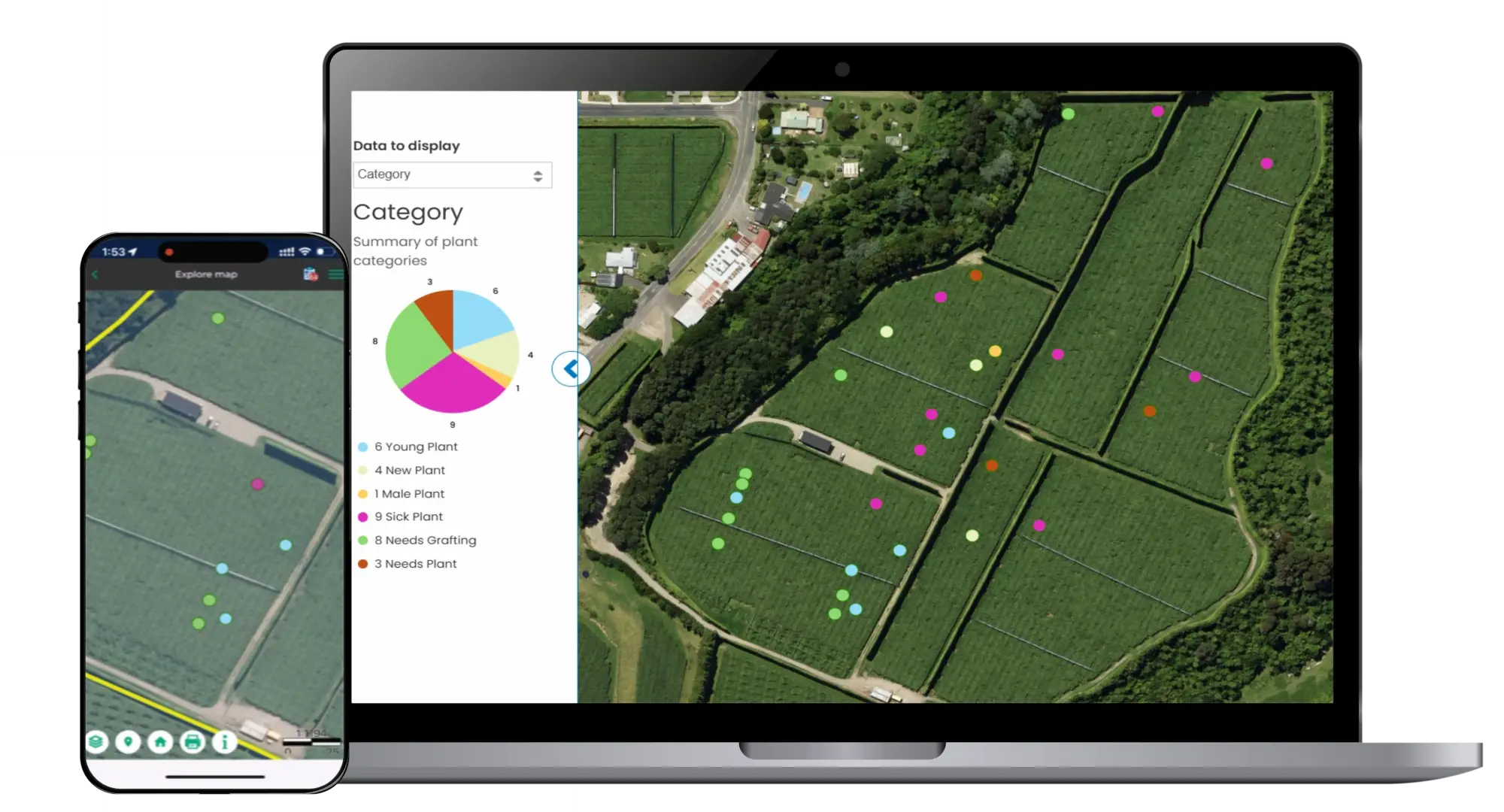 laptop-phone-plant-health